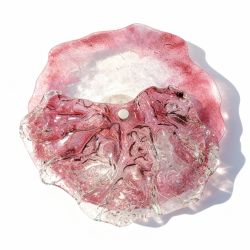 JASněnka růžová M