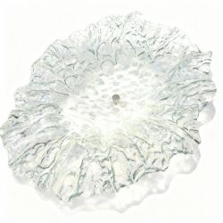 JASněnka bílo-čirá L